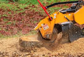 Best Tree Risk Assessment  in Boulder Creek, CA